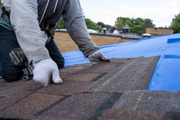 Best New Roof Installation  in Hot Springs, AR